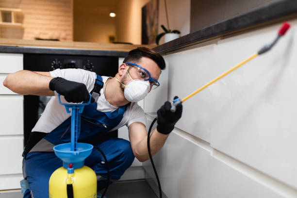 Best Pest Control for Homes  in Woodway, TX