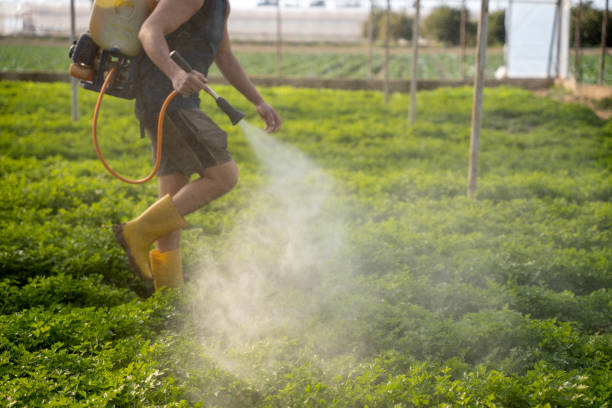 Best Pest Removal Services  in Woodway, TX