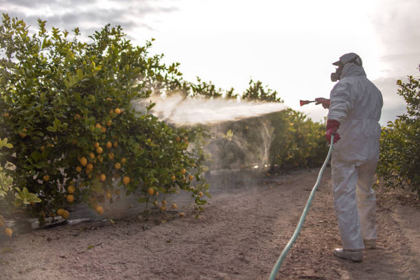 Best Residential Pest Control  in Woodway, TX