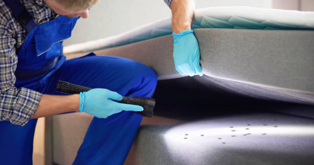 Best Emergency Pest Control  in Woodway, TX
