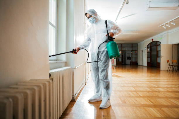 Best Flea Control Services  in Woodway, TX